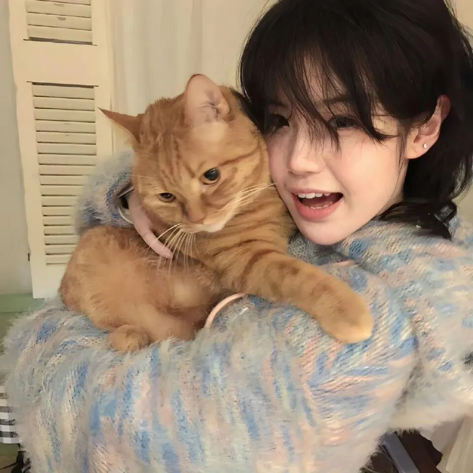 在德黑兰读洛丽塔